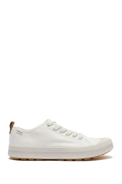 Shop Palladium Sub Low Canvas Sneaker In White/lily White