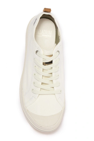 Shop Palladium Sub Low Canvas Sneaker In White/lily White