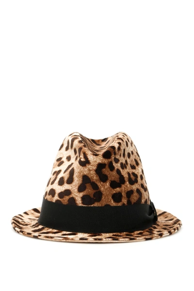 Shop Dolce & Gabbana Animalier Hat In Leo New (beige)