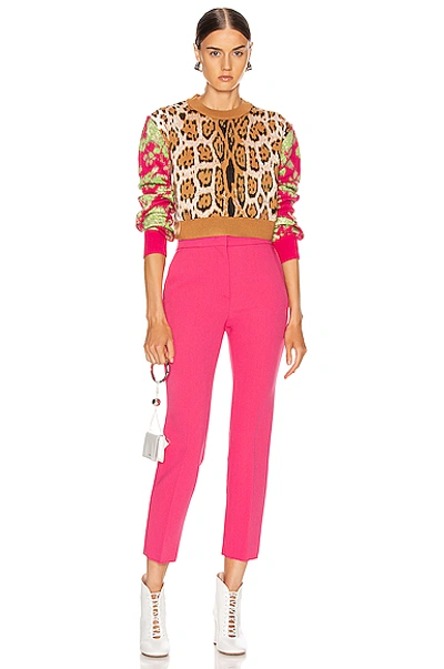 Shop Msgm Leopard Floral Sweater In Animal Print,floral,neutral,pink In Camel