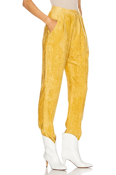 Shop Isabel Marant Fany Pant In Dusty Yellow