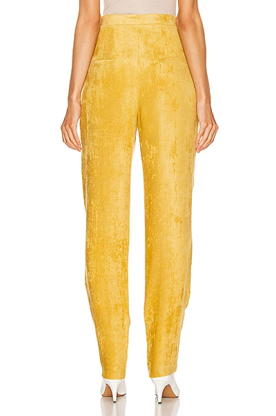 Shop Isabel Marant Fany Pant In Dusty Yellow