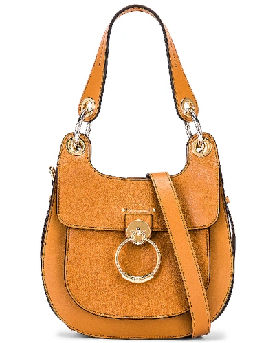 Shop Chloé Chloe Small Tess Leather Hobo Bag In Neutral In Autumnal Brown