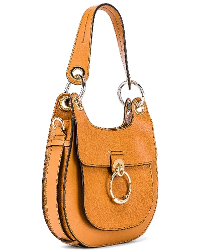 Shop Chloé Chloe Small Tess Leather Hobo Bag In Neutral In Autumnal Brown