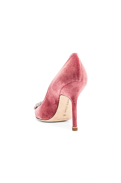 Shop Manolo Blahnik Hangisi 105 Heel In Pink