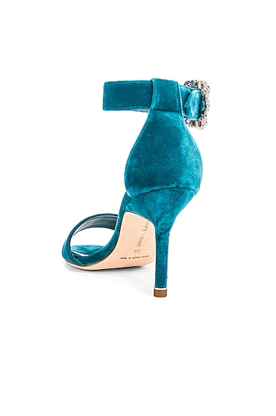 Shop Manolo Blahnik Sanghal 90 Velvet Sandal In Turquoise