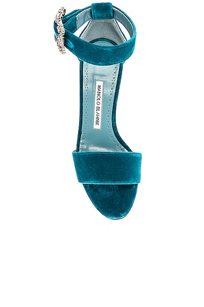 Shop Manolo Blahnik Sanghal 90 Velvet Sandal In Turquoise