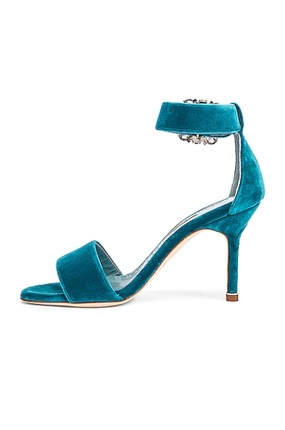 Shop Manolo Blahnik Sanghal 90 Velvet Sandal In Turquoise