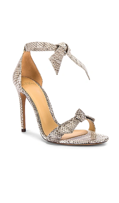 Shop Alexandre Birman Clarita Sandal In Natural Naja