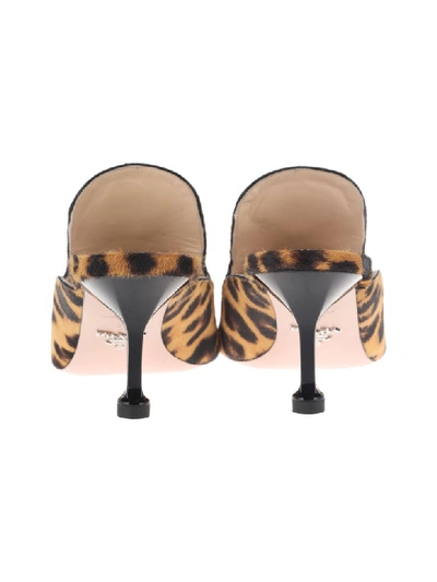 Shop Prada Leopard Print Lettering Logo Mules In Honey + Brown