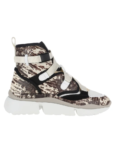 Shop Chloé Chloe High Top Sneakers In Eternal Grey