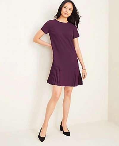 Shop Ann Taylor Pleated Shift Dress In Purple