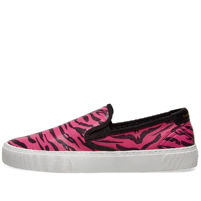 Shop Saint Laurent Venice Slip On Zebra Print Leather Sneaker In Pink