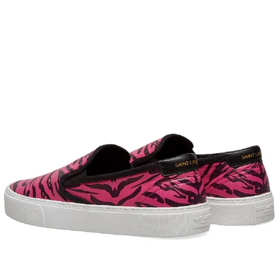 Shop Saint Laurent Venice Slip On Zebra Print Leather Sneaker In Pink