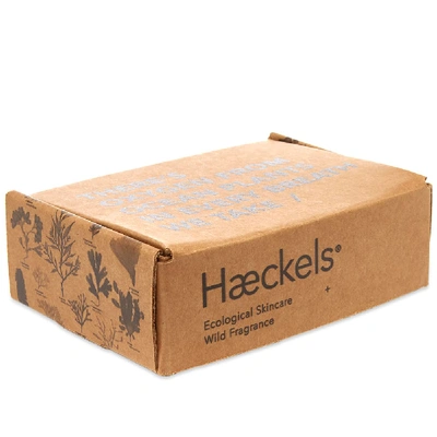 Shop Haeckels Gps Parfum Exploration Set In N/a