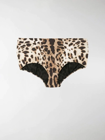 Shop Dolce & Gabbana Leopard Print High-waisted Bikini Bottoms In Brown