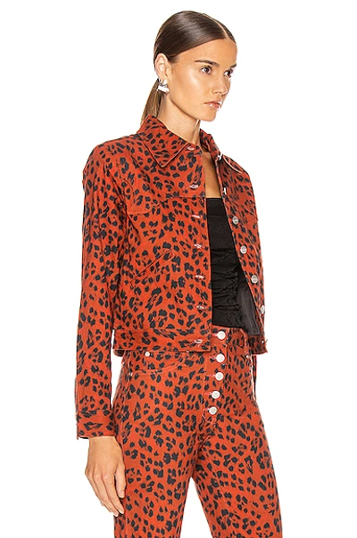 Shop Miaou Lex Jacket In Red Leopard