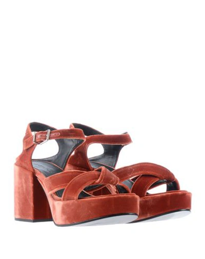 Shop Jil Sander Sandals In Brown