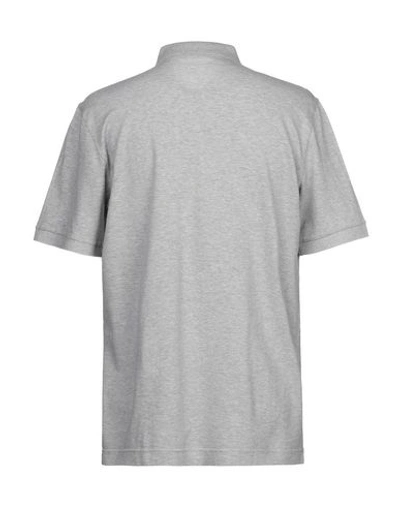 Shop Dolce & Gabbana Man Polo Shirt Light Grey Size 34 Cotton