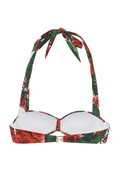 Shop Dolce & Gabbana Printed Bikini Top In Floral