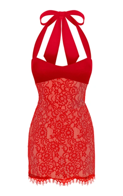 Shop Rasario Stretch-crepe And Lace Halterneck Mini Dress In Red