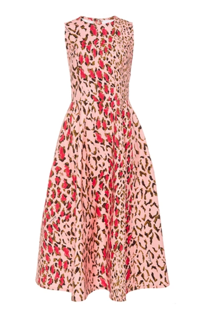 Shop Carolina Herrera Leopard-print Cotton-blend Midi Dress In Pink
