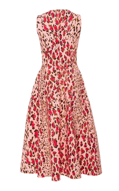 Shop Carolina Herrera Leopard-print Cotton-blend Midi Dress In Pink