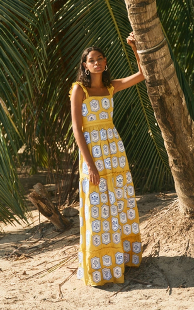 Shop Agua By Agua Bendita Herbarium Embroidered Linen Maxi Dress In Print