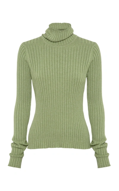 Shop Anna Quan Heather Rib-knit Cotton Turtleneck In Green