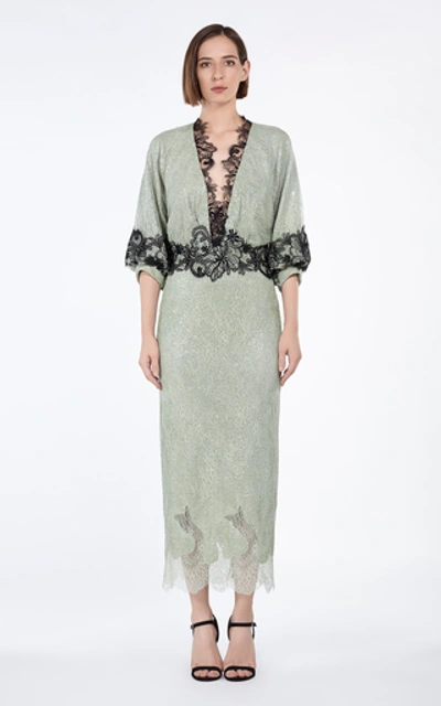 Shop Costarellos Gossamer Lace-trimmed Chantilly Lace Midi Dress In Green