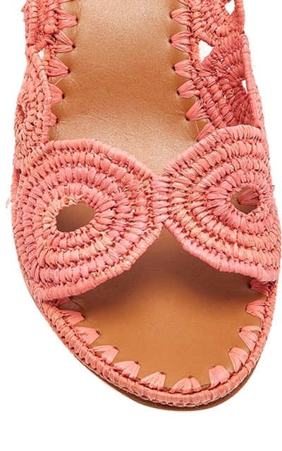 Shop Carrie Forbes Ayoub Raffia Mules In Pink