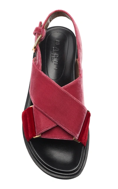 Shop Marni Fussbett Velvet Slingback Sandals In Burgundy