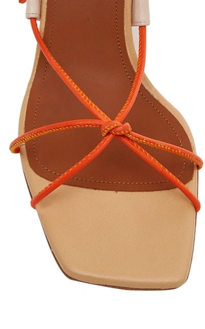 Shop Malone Souliers Camila Leather Sandals In Orange