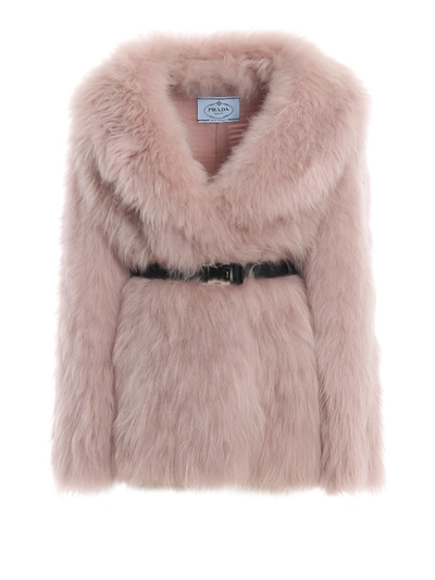 Shop Prada Real Fur Belted Coat In Light Pink