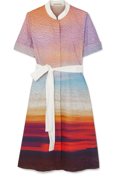 Shop Mary Katrantzou Cecilia Belted Printed Stretch-cotton Poplin Dress In Pink