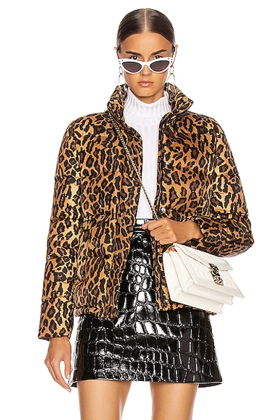 Shop Miu Miu Leopard Puffer Jacket In Khaki
