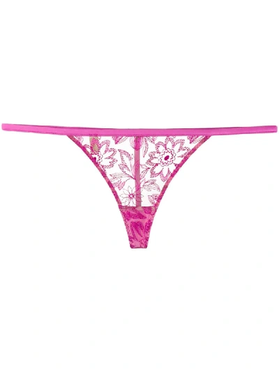 Shop Myla Columbia Road Thong In Pink
