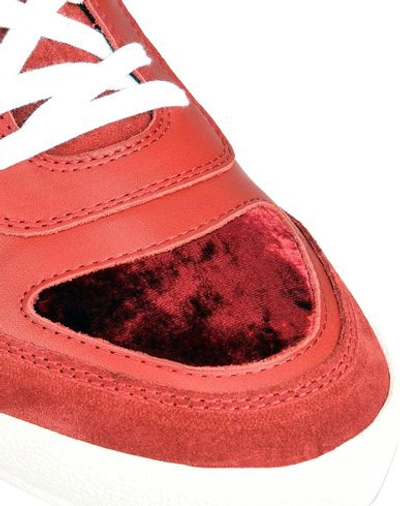 Shop Just Cavalli Sneakers In Red