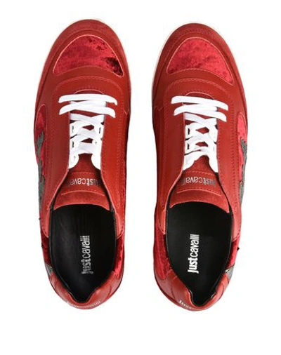 Shop Just Cavalli Sneakers In Red