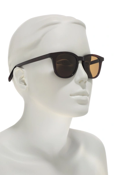 Shop Saint Laurent Core 47mm Square Sunglasses In Avana Avana Brown