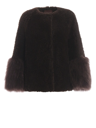 Shop Prada Fur Cuffs Shearling Short Coat In Dark Brown