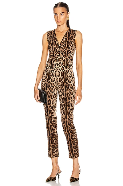 Shop Dolce & Gabbana Sleeveless Vest In Brown In Leopard