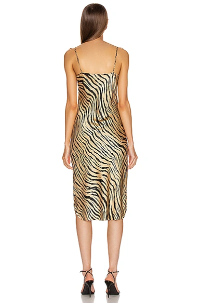 Shop Nili Lotan Short Cami Dress In Gold Tiger Print