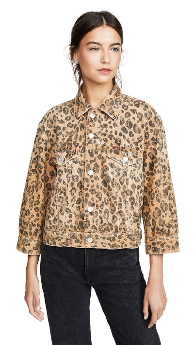 Shop Amo Lulu Jacket In Leopard