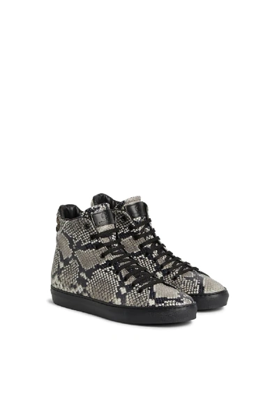 Shop Roberto Cavalli Snake Embroidery High Top Sneakers In Black