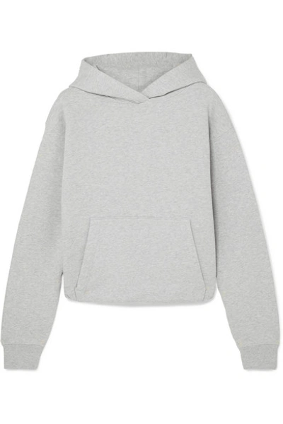 Shop Alexander Wang T Cropped Cotton-terry Hoodie In Light Gray