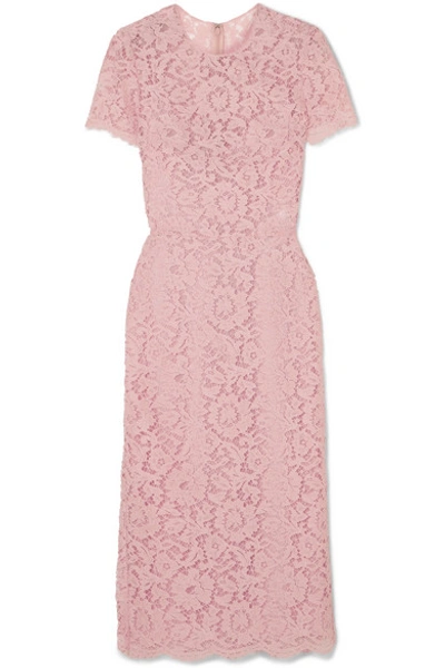 Shop Valentino Guipure Lace Midi Dress In Blush