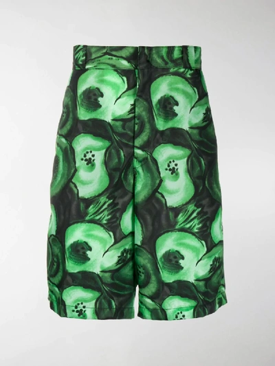 Shop Prada Printed Bermuda Shorts In Green