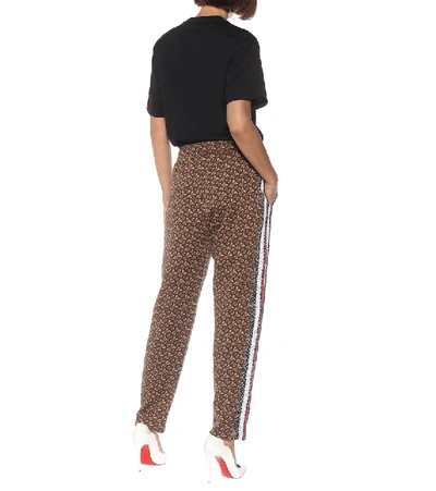 Shop Burberry Monogram Cotton Trackpants In Brown