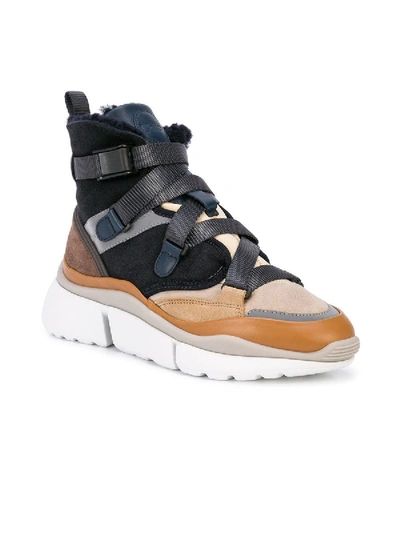 Shop Chloé Sonnie Sneakers Blueberry In Multicolor